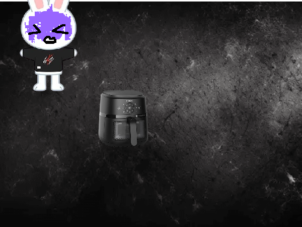 dont click the airfryer click leebit (